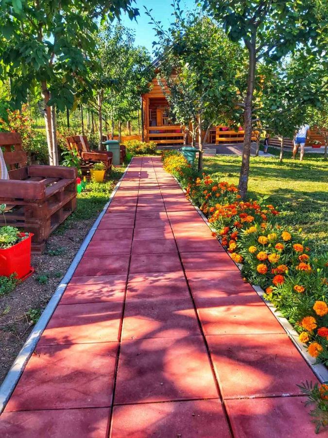 Holiday Bungalows & Food Πλαβ Εξωτερικό φωτογραφία