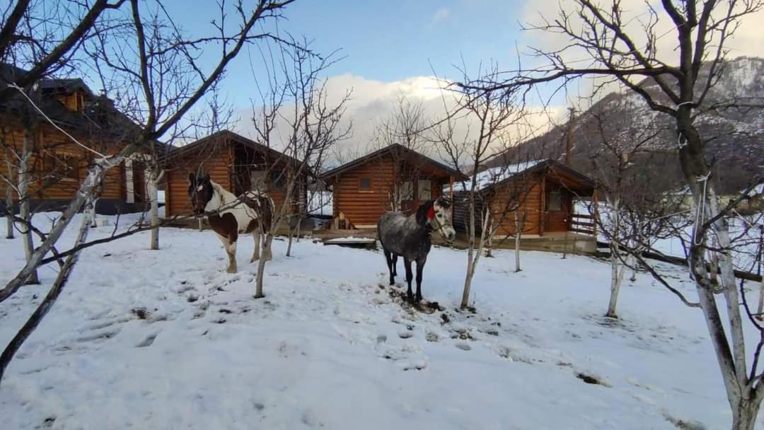 Holiday Bungalows & Food Πλαβ Εξωτερικό φωτογραφία